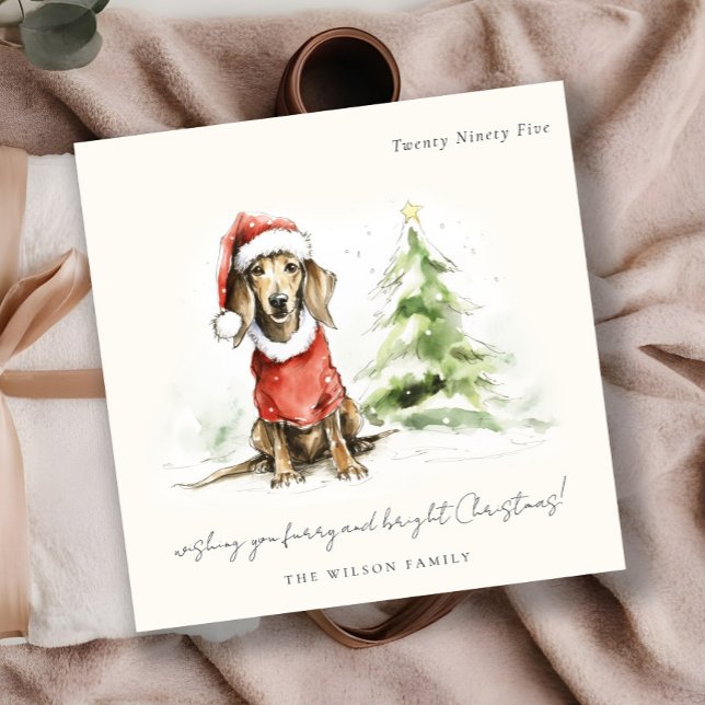 Cute Dachshund Dog Furry and Bright Christmas Holiday Card (Creator Uploaded)