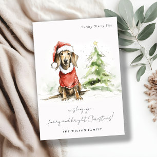 Cute Dachshund Dog Furry and Bright Christmas Holiday Card