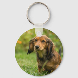 Cute Dachshund dog Key Ring