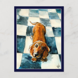 Cute Dachshund dog postcard