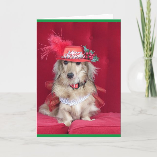 Cute Dachshund Dressed for Christmas Holiday Card (Front)