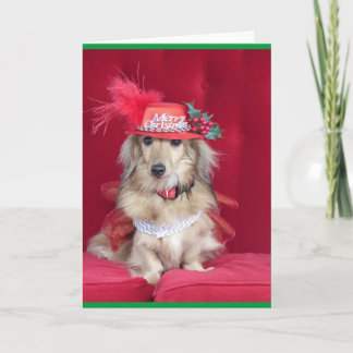 Cute Dachshund Dressed for Christmas Holiday Card