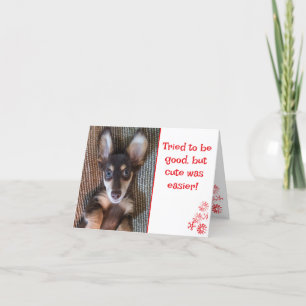 Cute Dachshund Folded Holiday Card