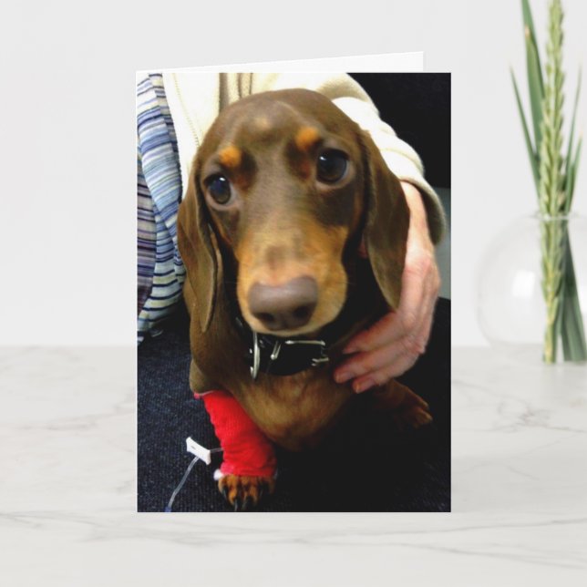 Cute Dachshund get well soon card (Front)