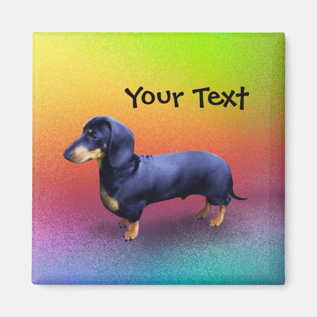 Cute Dachshund in a Rainbow Magnet (Front)