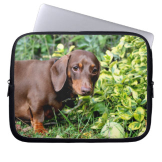 cute dachshund laptop case
