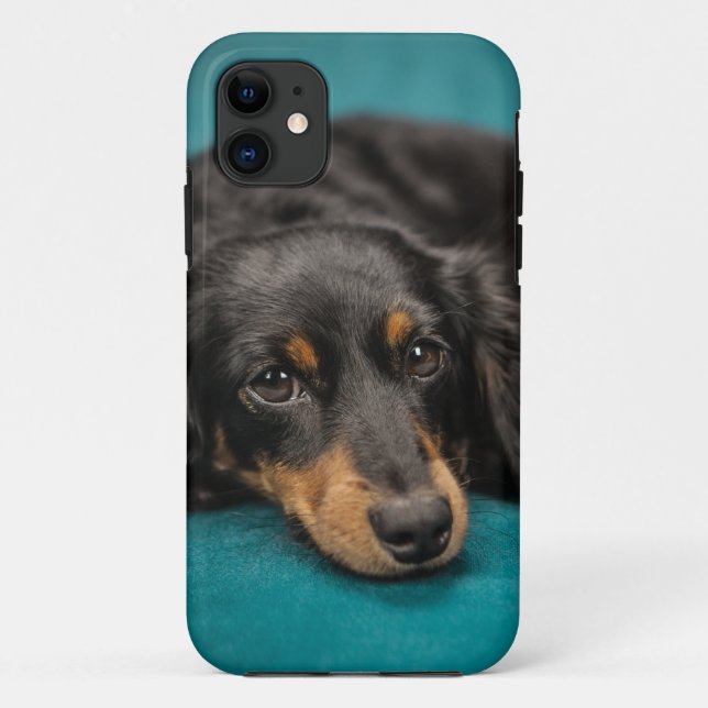 Cute Dachshund Laying Down Case-Mate iPhone Case (Back)