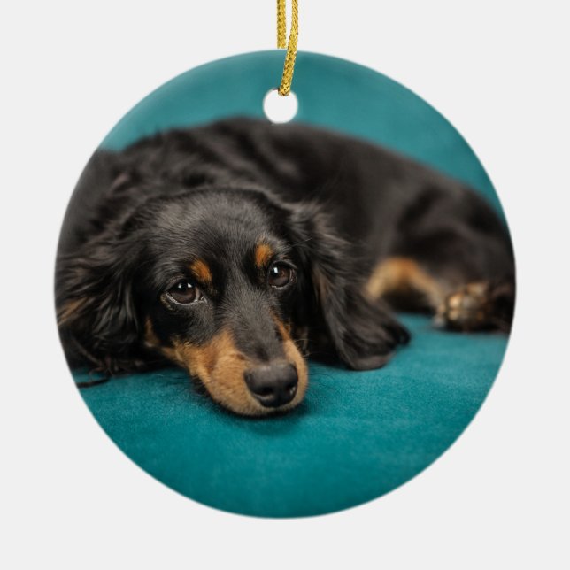 Cute Dachshund Laying Down Ceramic Ornament (Front)