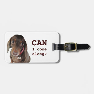 Cute dachshund luggage tag