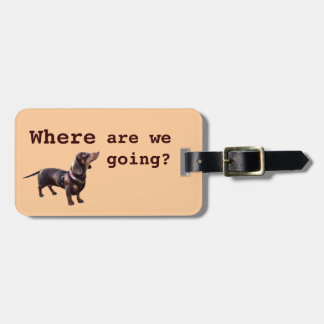 Cute dachshund luggage tag
