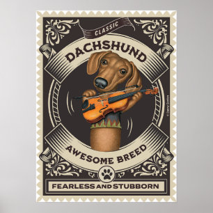 Cute Dachshund Playing Violin Poster