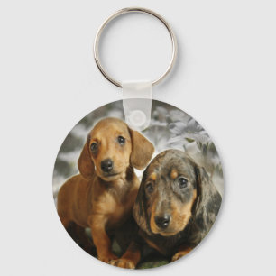 Cute Dachshund Puppies (Brown/Black) Key Ring
