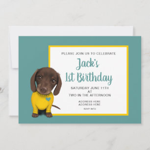 Cute Dachshund Puppy - 1st Birthday Invitation