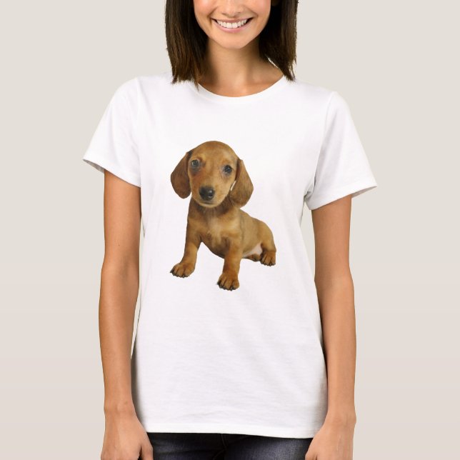 Cute Dachshund  Puppy (Cream Brown) Sitting T-Shirt (Front)