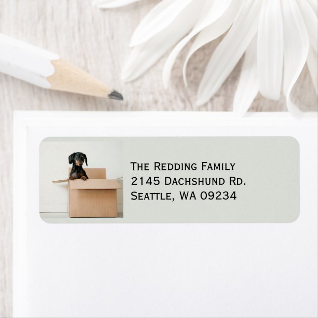 Cute Dachshund Return Address Label (Insitu)