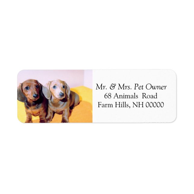 Cute Dachsund Puppies Return Address Mail Stickers (Front)