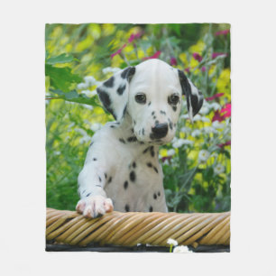 Cute Dalmatian Dog Puppy, comfort Fleece Blanket