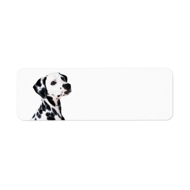 Cute Dalmatian Dog Return Address Label (Front)
