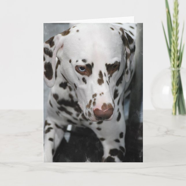 Cute Dalmatian Greeting Cards (Front)