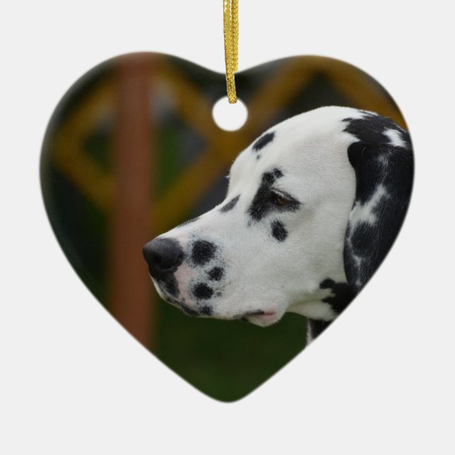 Cute Dalmatian Puppy Ceramic Ornament (Front)