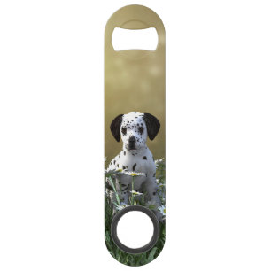 Cute Dalmatian Puppy in Daisies