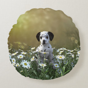 Cute Dalmatian Puppy in Daisies Round Cushion