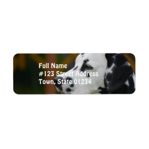 Cute Dalmatian Puppy Return Address Label