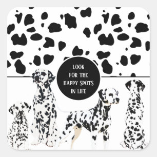 Cute Dalmatians Black & White Happy Spots Square Sticker