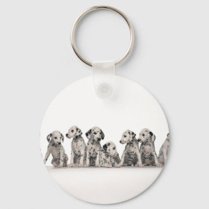 cute dalmation puppies pupy pup pups dog dogs key ring