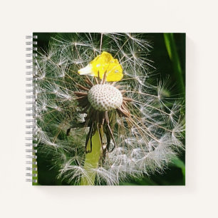 Cute dandelion notebook