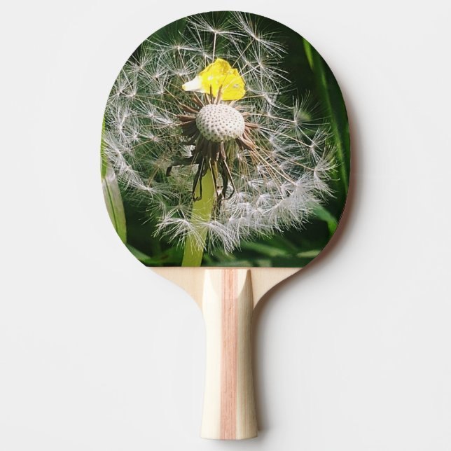 Cute dandelion ping pong paddle (Front)
