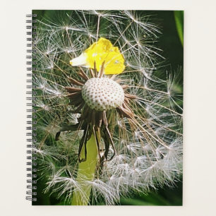 Cute dandelion planner