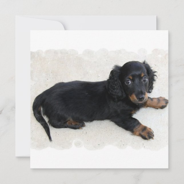 Cute Daschund  Invitations (Front)