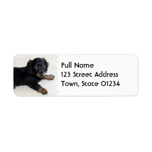 Cute Daschund  Mailing Label Return Address Label