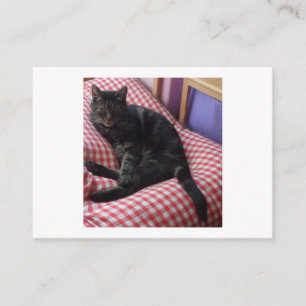 Cute Dave Enclosure Card