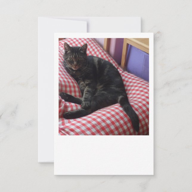 Cute Dave Flat Save The Date (Front)