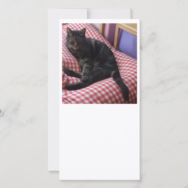Cute Dave Flat Thank you Card (Front)