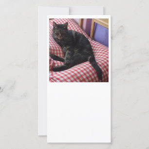 Cute Dave Flat Thank you Card