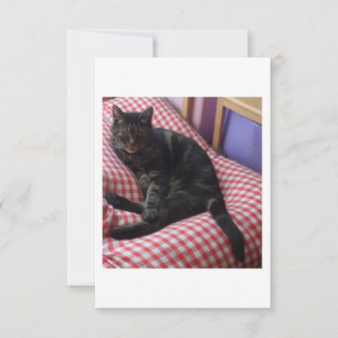 Cute Dave Flat Thank You Cards