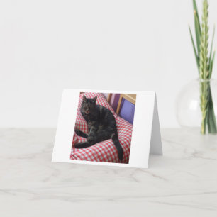Cute Dave Greeting Card