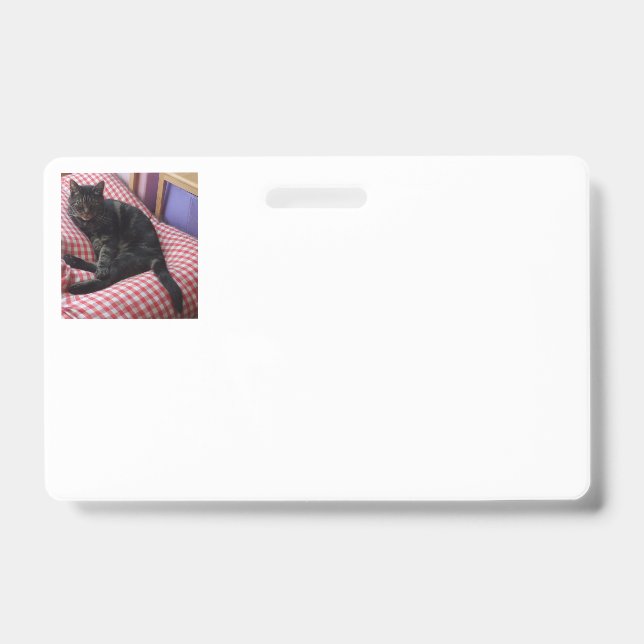 Cute Dave Horizontal Identity Badge ID Badge (Front)