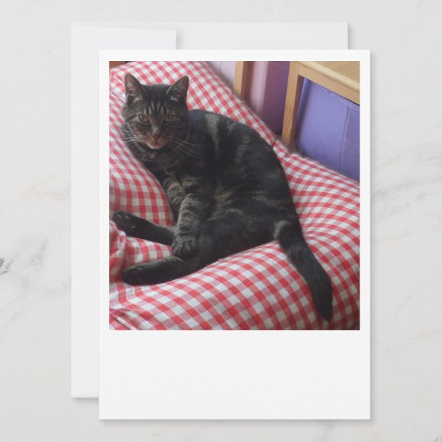 Cute Dave Invitation (Front)