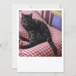 Cute Dave Invitation