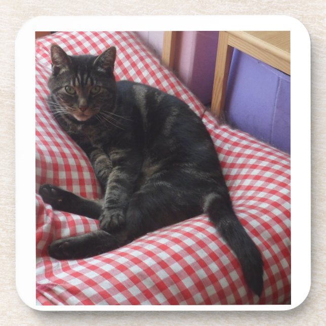 Cute Dave Plastic Coasters (Front)