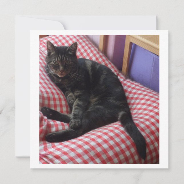 Cute Dave Square Invite (Front)