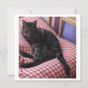 Cute Dave Square Invite