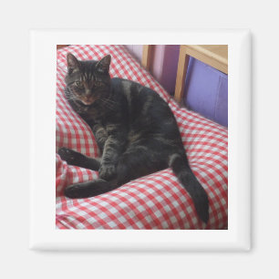 Cute Dave Square Magnet