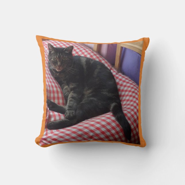 Cute Dave Throw Cushion (Front)