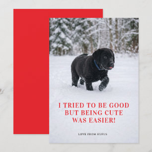 Cute Dear Santa I Tried To Be Good Photo Holiday Card