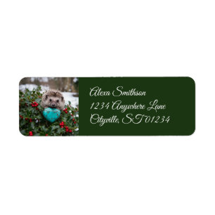 Cute December Hedgehog with Turquoise Heart Return Address Label